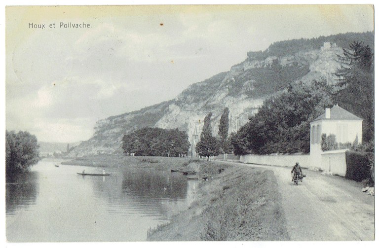Houx et Poilvache