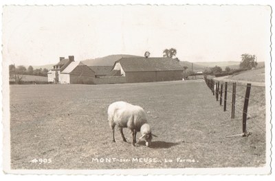 La ferme