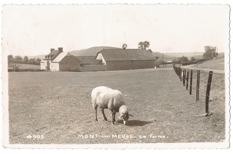 La ferme