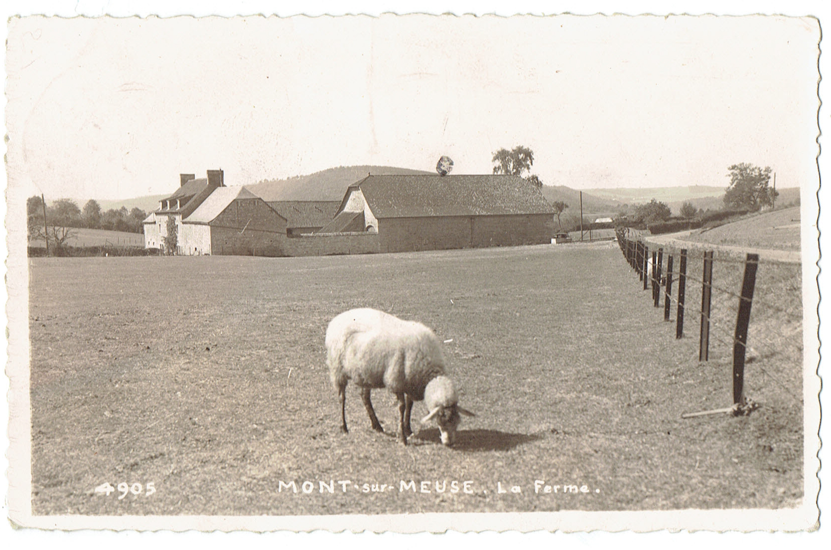 La ferme