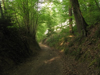 Chemin ancien Bauche - Durnal