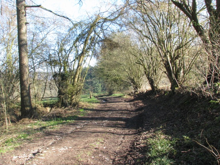 Chemin