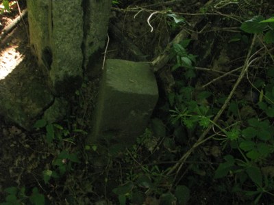 Borne
