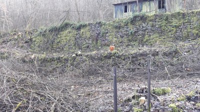 Murs en pierres sèches