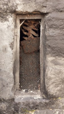 Grille des soupiraux